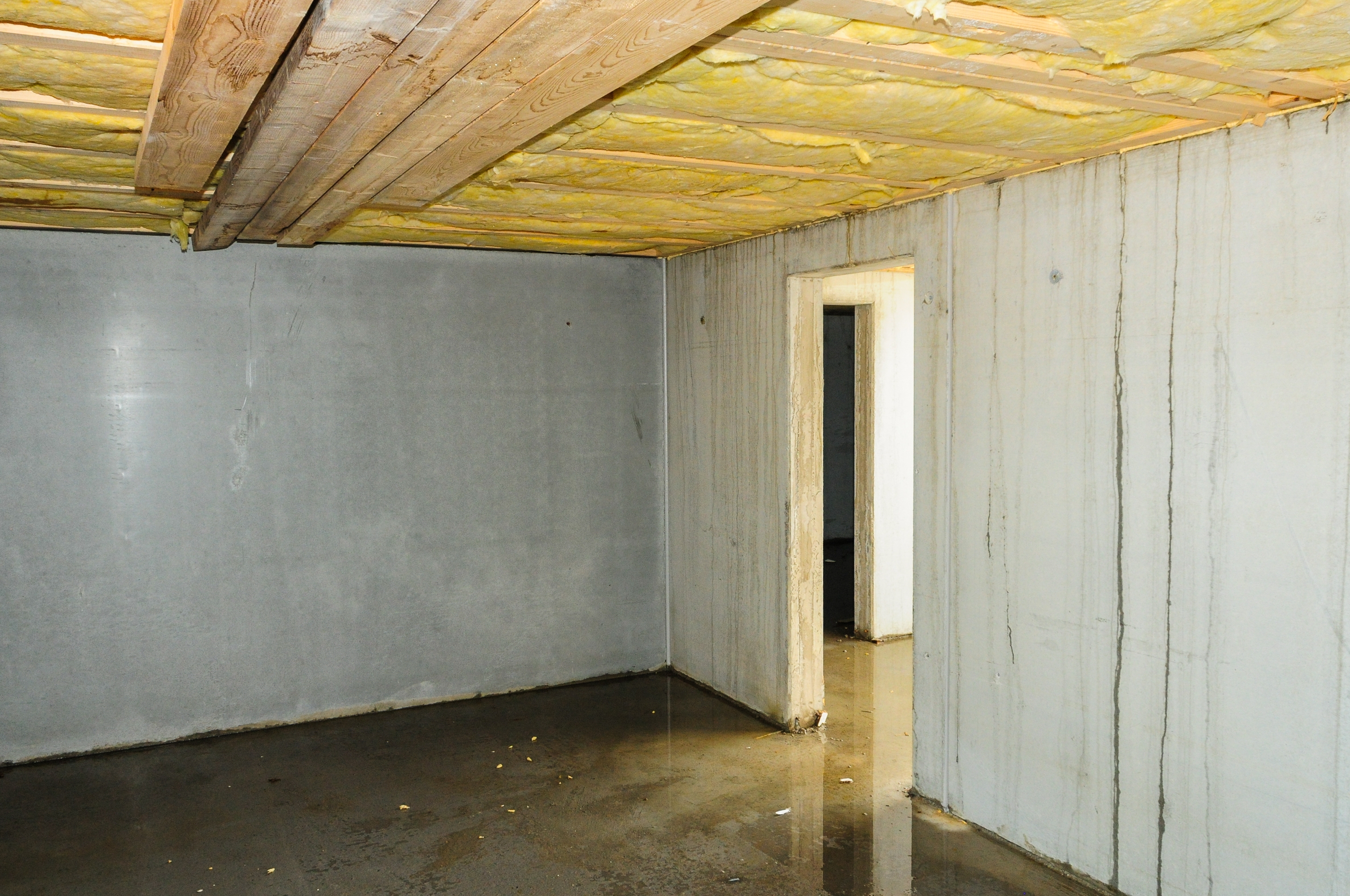 How to Get Rid of Musty Smell in Basement