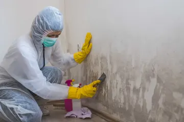 A mold remediation technician in a white protective suit, face mask, and yellow gloves scraping and treating black mold from a wall using a tool and cleaning solution.
