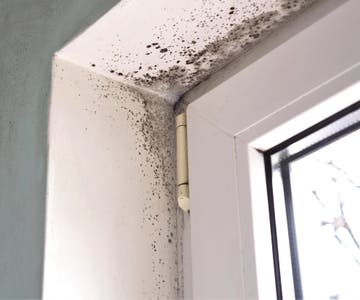 Residential_Mold_Page_resize.jpg