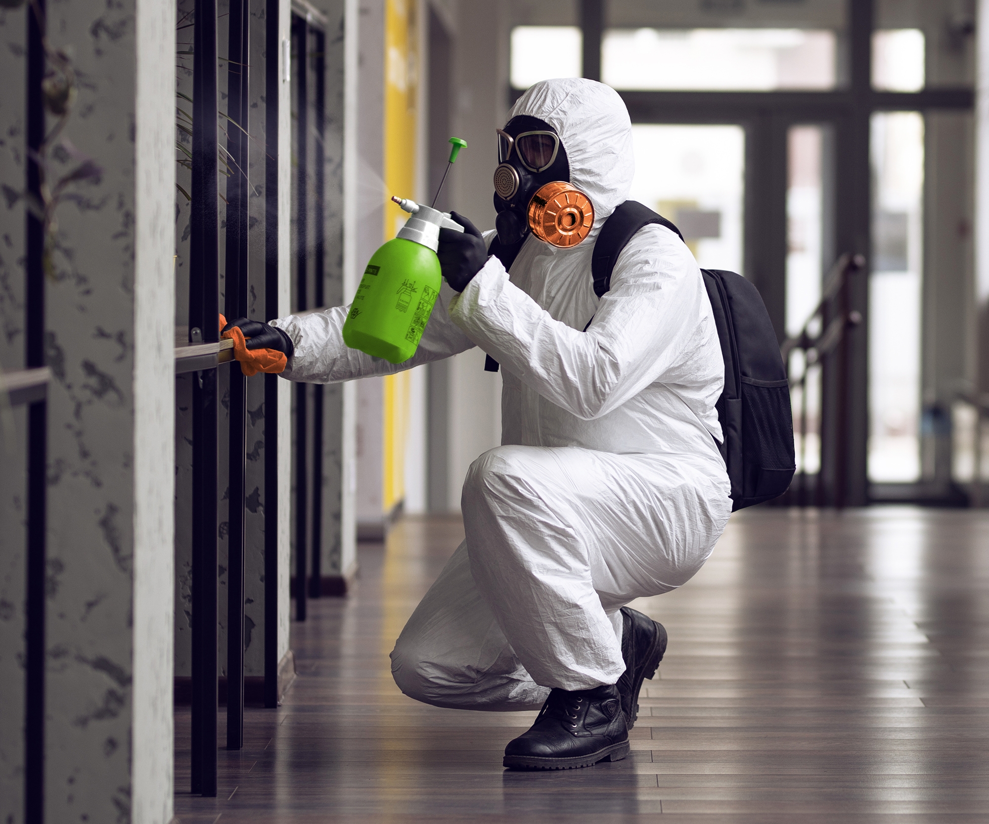 Mold Removal vs. Remediation