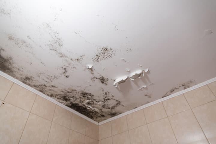 How to Remove Mold From Your Shower