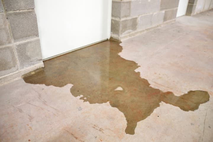 What Causes Sewage Smell in Your House?
