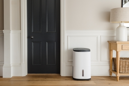 Air Purifier vs. Dehumidifier