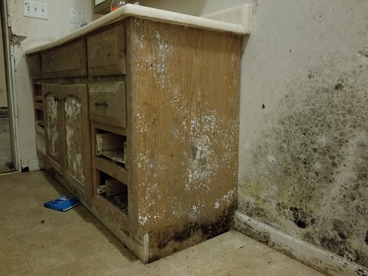How to Remove Mold From Wood Safely and Effectively